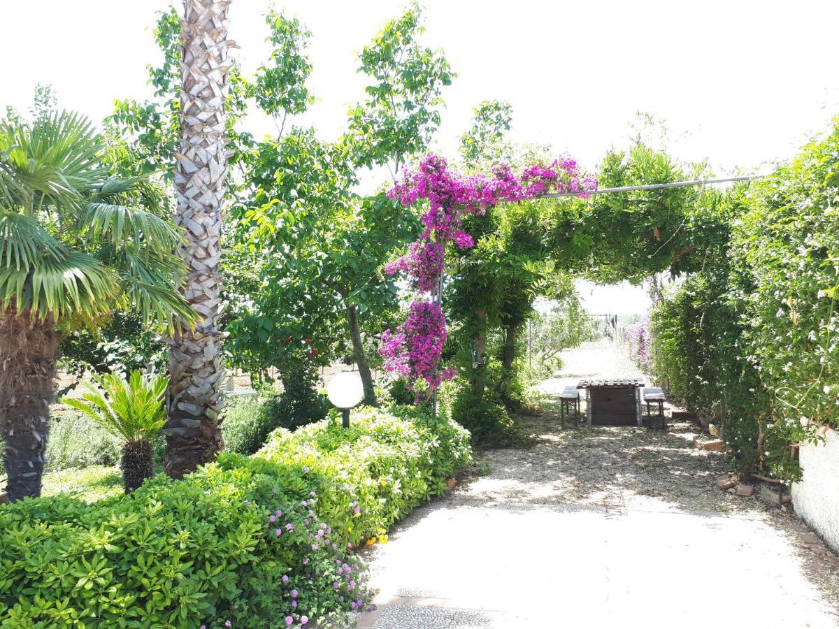 ריברה Villa Zahara מראה חיצוני תמונה