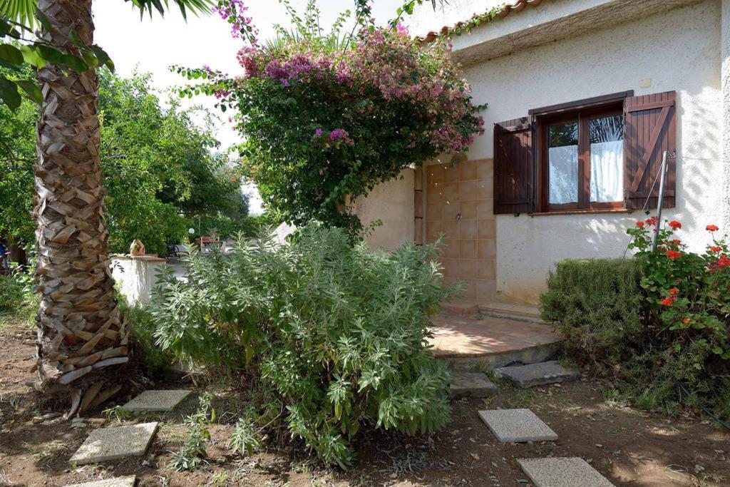 ריברה Villa Zahara מראה חיצוני תמונה